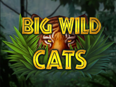 Big Wild Cats